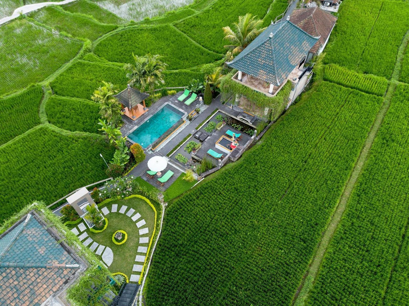 Cahaya Ubud Villa Eksteriør bilde