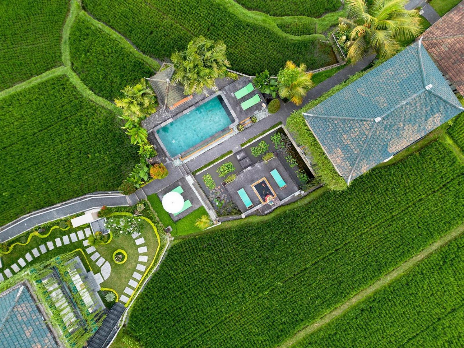 Cahaya Ubud Villa Eksteriør bilde