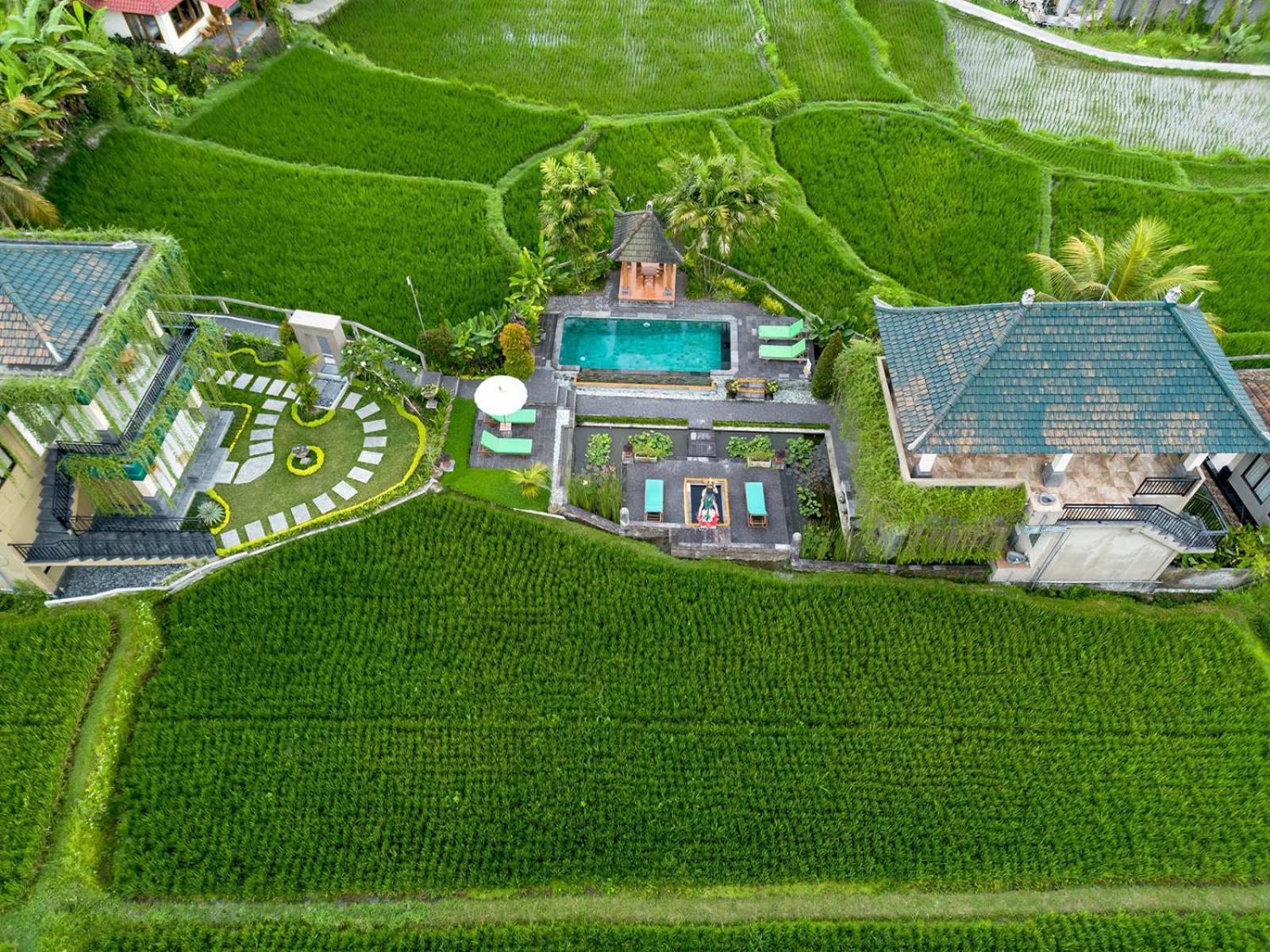 Cahaya Ubud Villa Eksteriør bilde